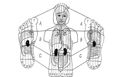 Reflexologi/Zonterapi